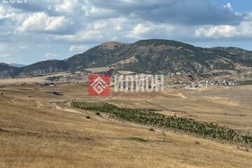 Ведение садоводства, 6 сот.