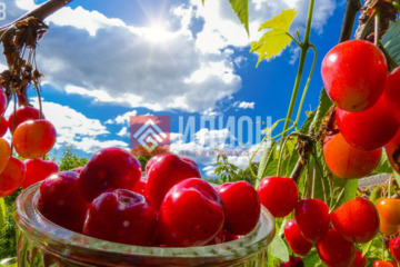 С/х использование, 6 га