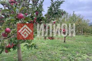 Ведение садоводства, 10 сот.