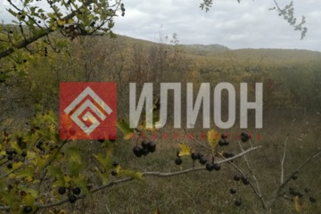 Ведение садоводства, 10 сот.