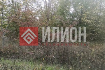 Ведение садоводства, 10 сот.