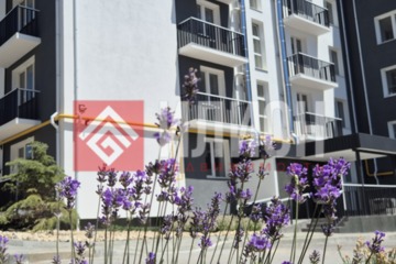 1-к квартира, 31 м², 4/5 эт.