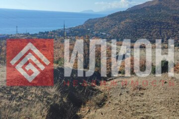 Предпринимательство, 3 сот.